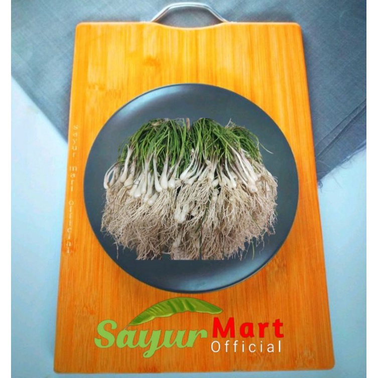 

Lokio Lengkio/Bawang Batak perikat besar INSTAN