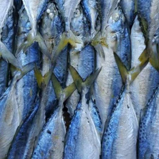 

Limited | KF7 | Kembung Rebus Guring 500gr