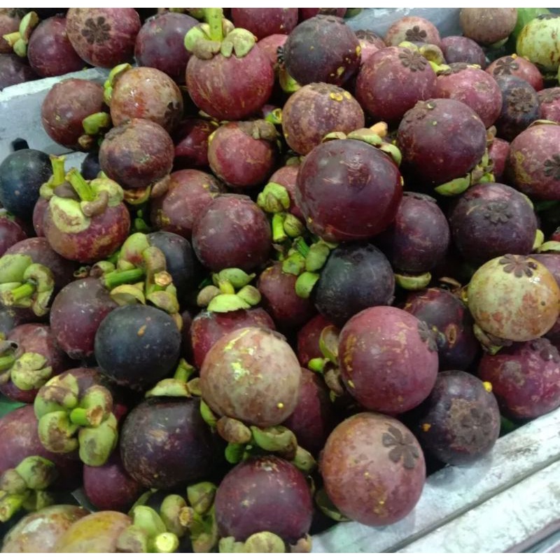 

manggis 1 kg