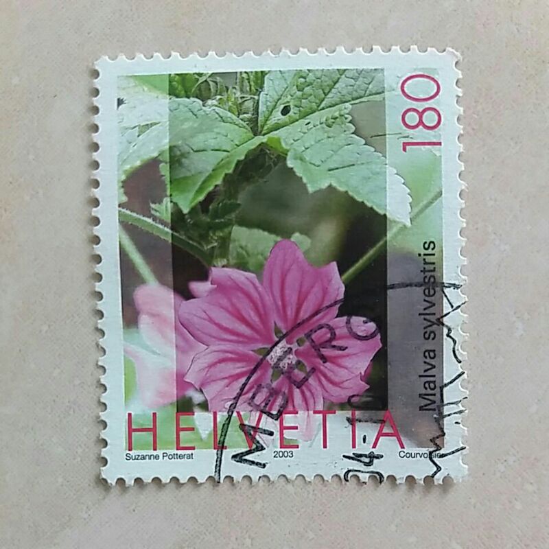 

(AD) Perangko Swiss 2003 Flora - Mallow (Malva sylvestris) 180ct Used