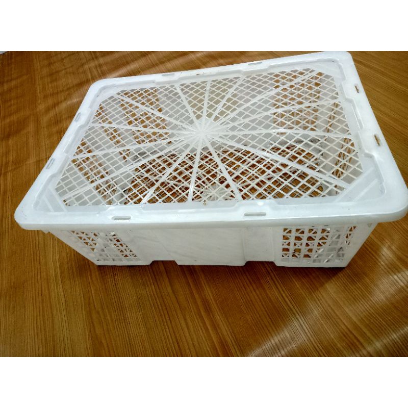 Keranjang Krat Plastik bekas Buah Kelengkeng/ Krat Kelengkeng/Krat Buah