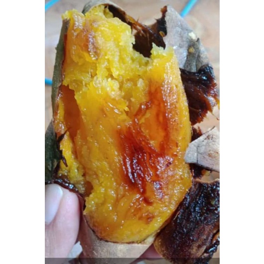 

Ubi Cilembu Oven