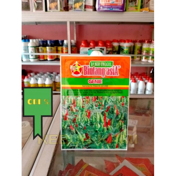 BENIH CABE GENIE 10 GR BINTANG ASIA