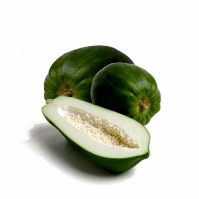 

1 kg pepaya muda/gandul segar