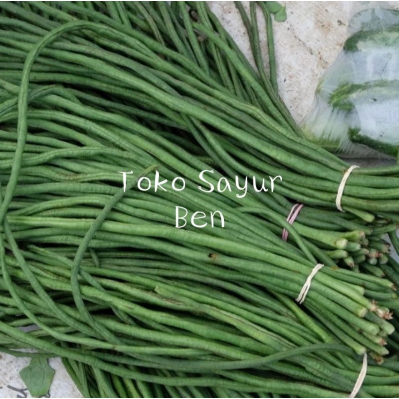 

kacang panjang