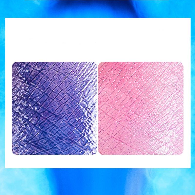 Blue Liquid Lipstick Lessxcoco Color Changing Moisturizing Lip Gloss Biru Rubah Warna Waterproof Original Terlaris