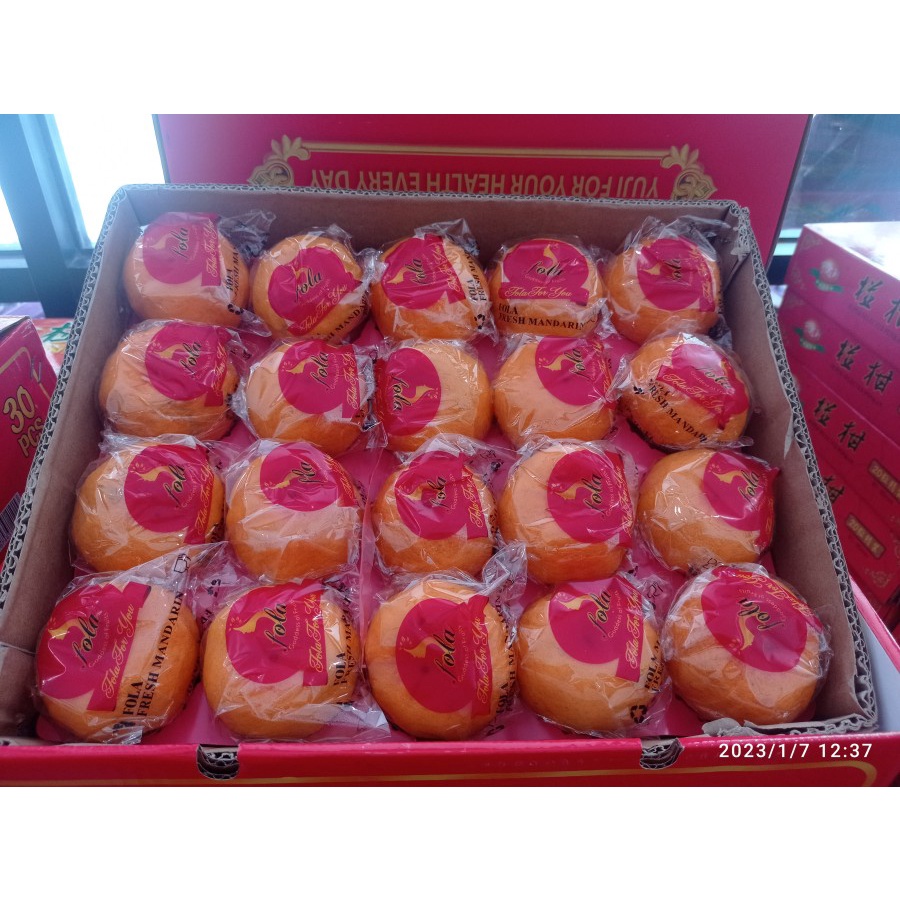 

GIFT BOX IMLEK - JERUK PONKAM TAIWAN FOLA SIZE L 40