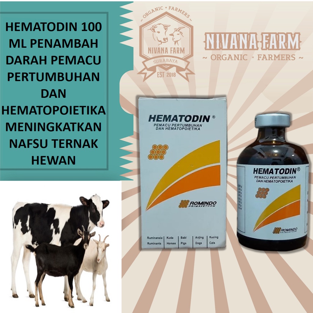 Jual HEMATODIN 100 ML Penambah Darah Pemacu Pertumbuhan Dan