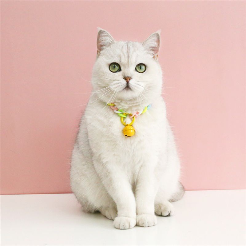 Kalung Kucing Rantai Elegan Lonceng Ufo Besar 22mm