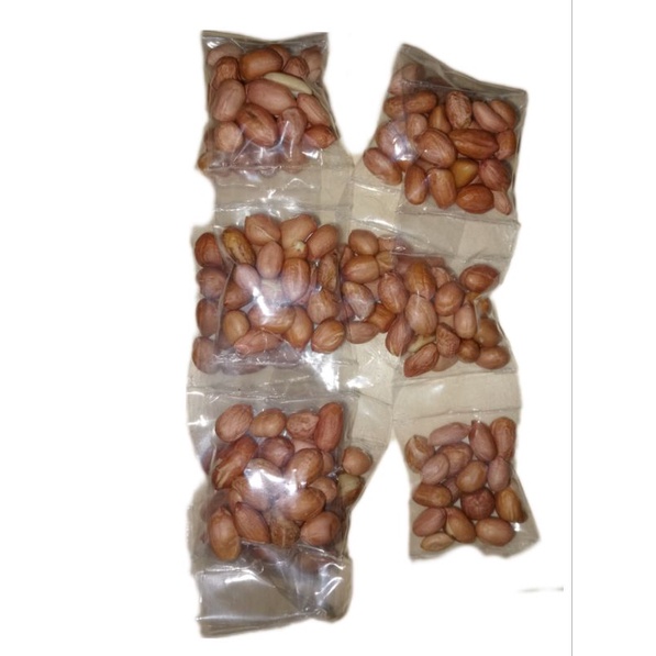 

kacang tanah 1 rencemg