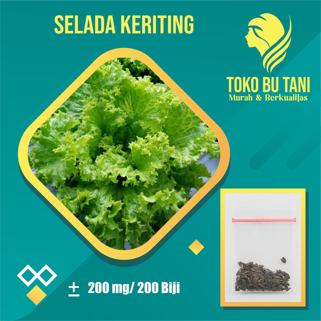 Paket Benih Sayur Lalap Siap Semai Terjangkau
