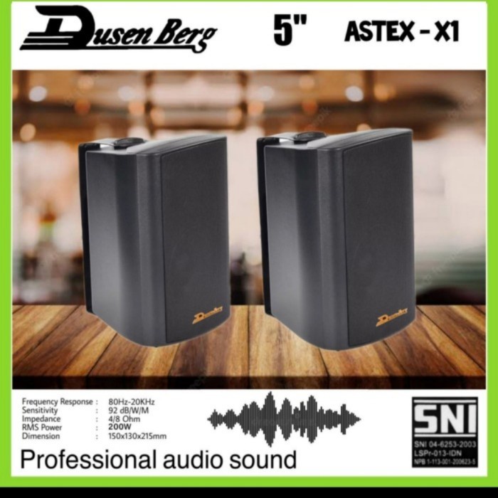 speaker monitor pasif DUSENBERG 5inch /2unit