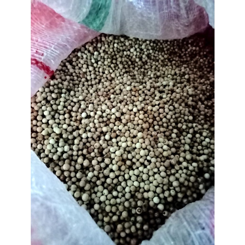 

Lada Putih Butiran Utuh / Merica Butiran / Whole White Pepper 200gr