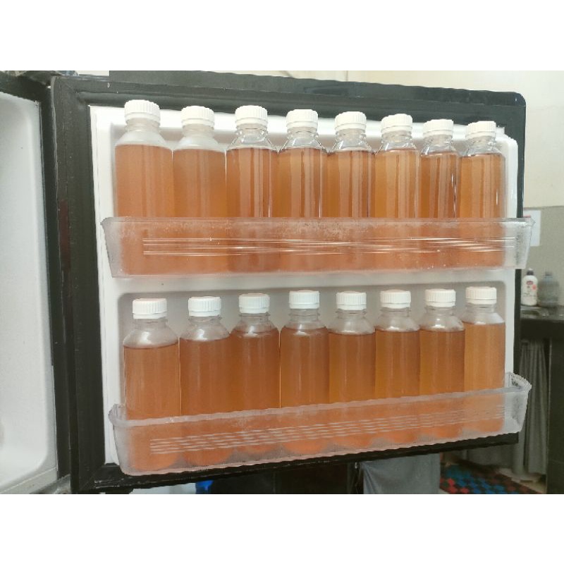 

Teh Kombucha 250 ml