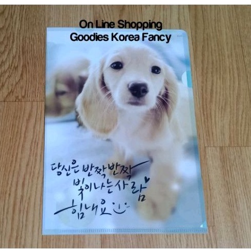 

Map L /Holder File /Clear Sleeve Pets Ori Korea Ready Stock