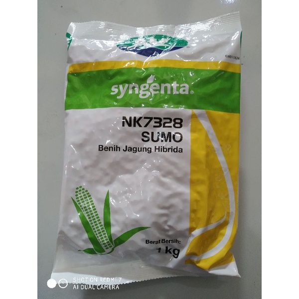 benih jagung NK SUMO 1kg