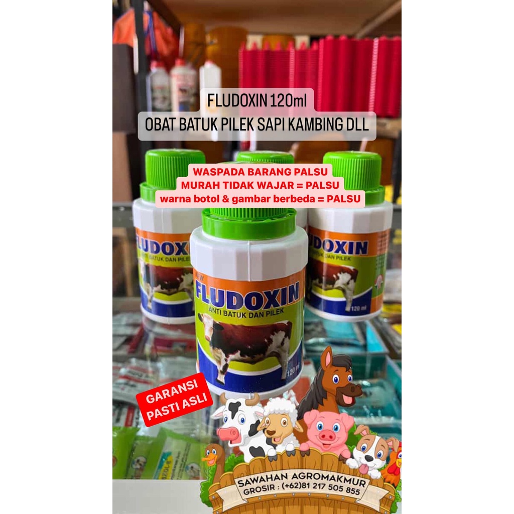 FLUDOXIN 120ml obat batuk pilek sapi kambing pedet cempe kuda babi fludoksin obat flu sapi kambing p