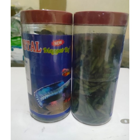 CRYSTAL MAGGOT PREMIUM BLUE BESAR PAKAN IKAN HIAS CARNIVORA PAKAN IKAN CANA LOUHAN KOI