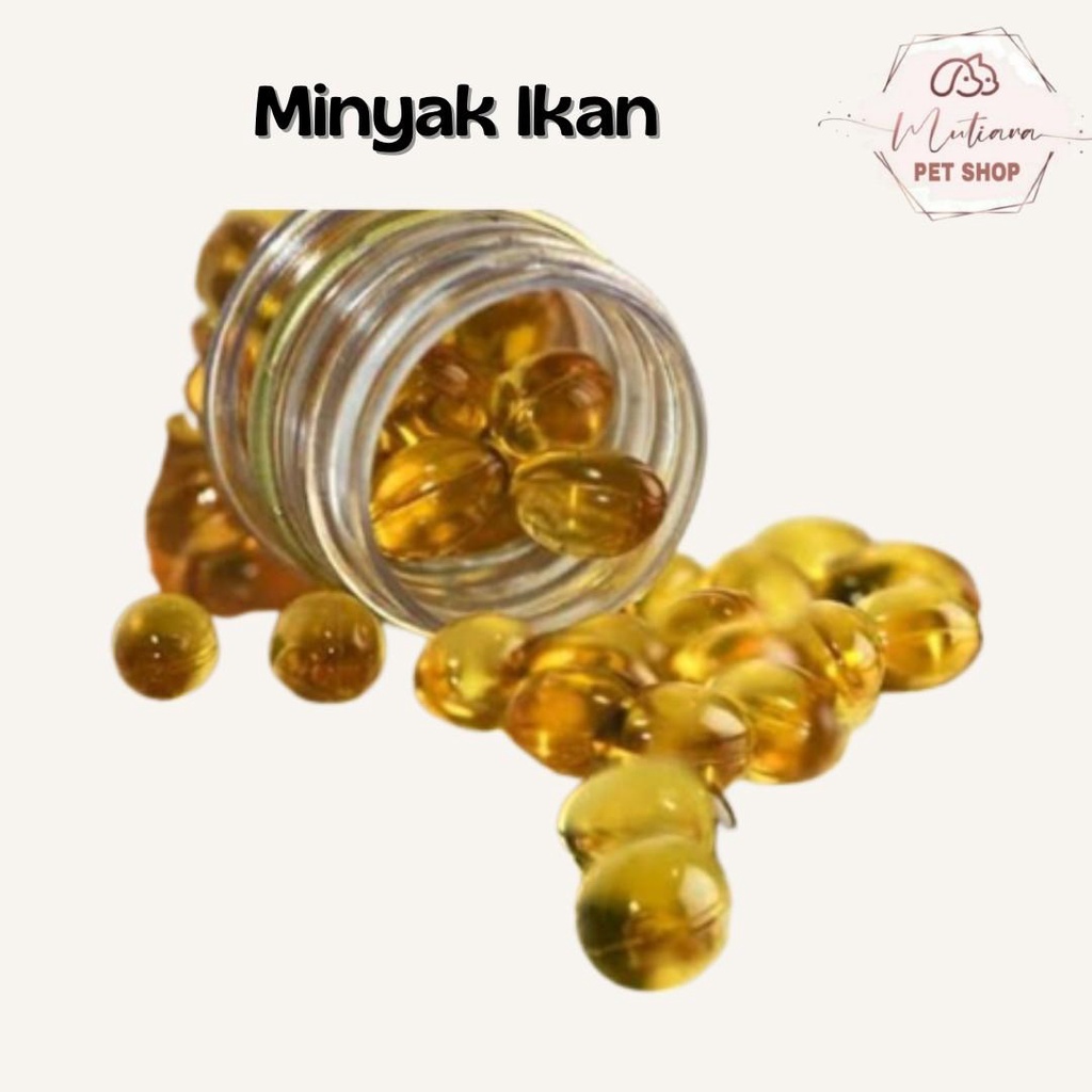 Minyak Ikan Suplemen - Mutiara Petshop
