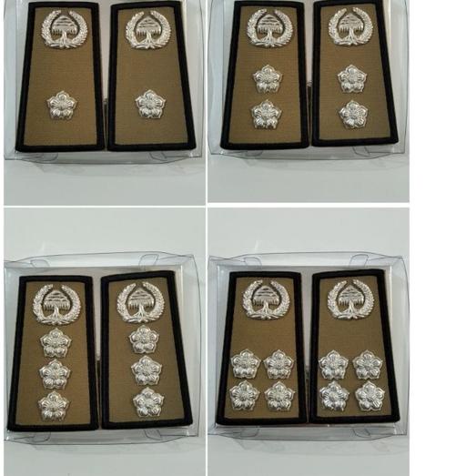 ✶ Pangkat PNS Bengkulu Gol 3a,3b,3c,3d ( melati kecil) ➲