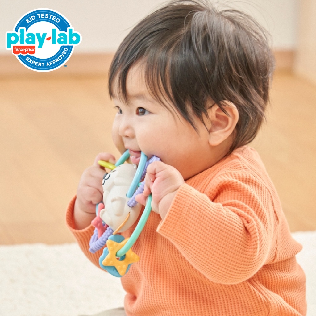 Fisher Price Twist and Teether Otter - Mainan Gigitan Anak Bayi