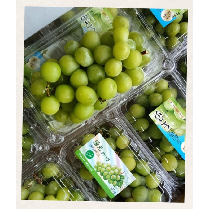 

Anggur hijau 500GRAM MANIS