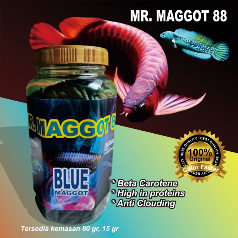 maggot super color full RED BLUE YELLOW 80gram pakan ikan predator arwana channa dll