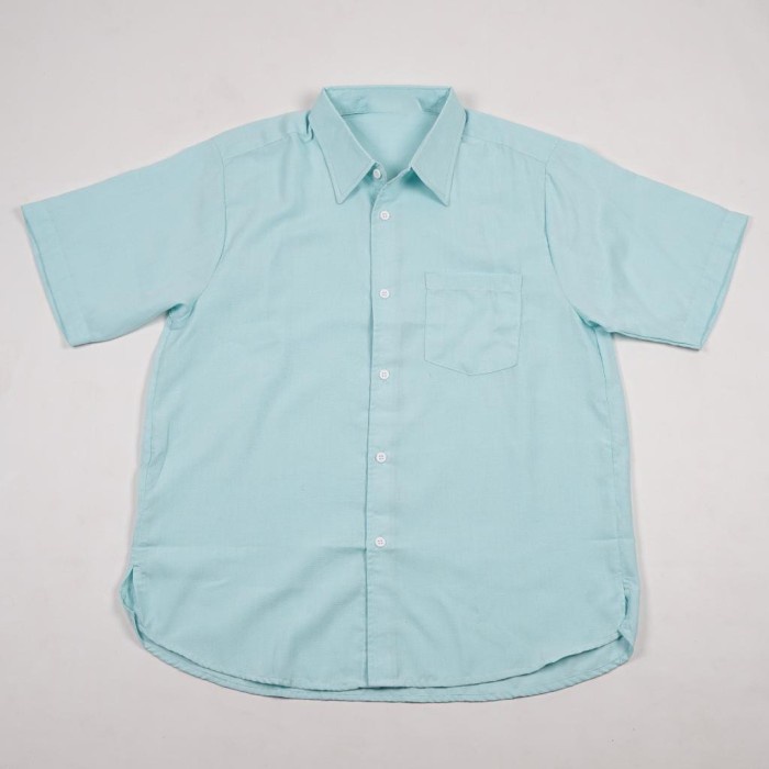 kemeja Kemeja Lengan Pendek Pria Casual Baby Blue Premium Quality - M(F1V3) Kemeja Pria Lengan Pende