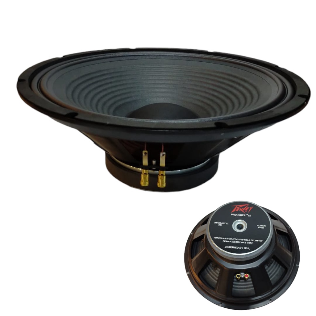 speaker peavey 15 inch pro rider 15 fullrange