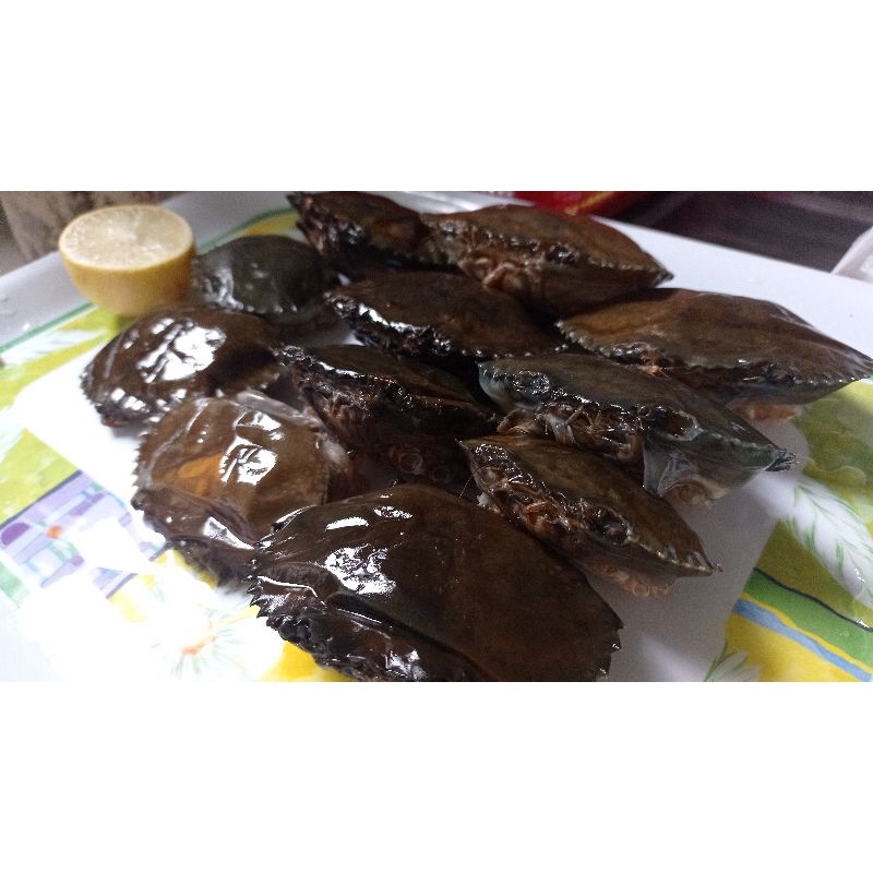 

kepiting / kepiting segar / tuan Krabs/kepiting soka