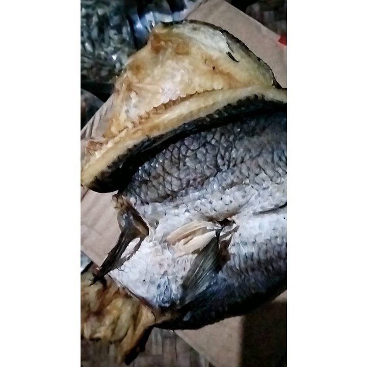 

ikan asin gabus 100gr