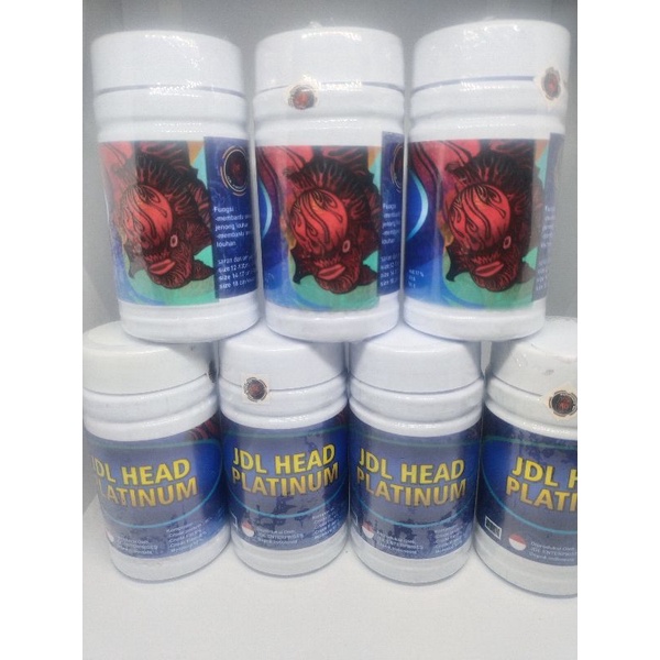 JDL HEAD PLATINUM