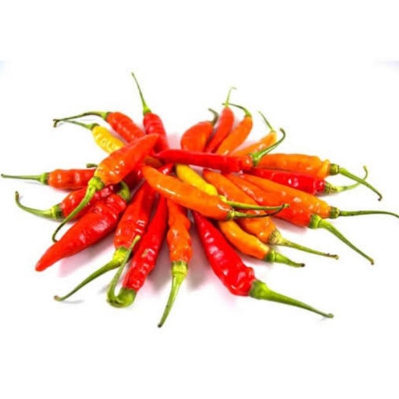 

cabe rawit merah 100gr