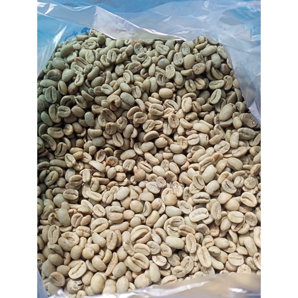 

Kopi Arabika Gayo Grad 1 Siap Roasting Spesialty Arabika Gayo Natural Prosses 1KG