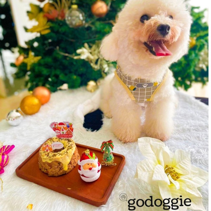 

Xmas Christmas Hampers Natal - Healthy Barkday Cake Anjing Godoggie