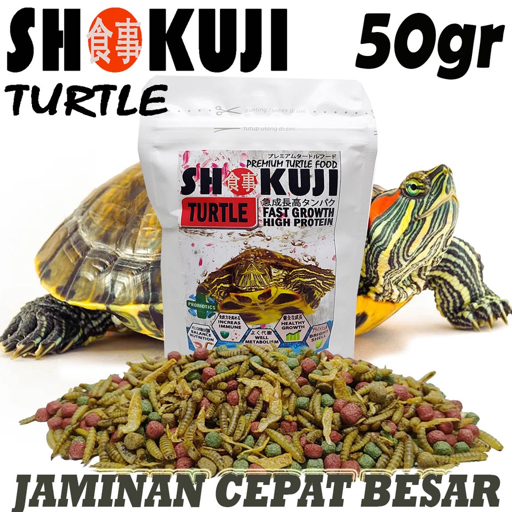 50GR SHOKUJI PAKAN RES BRAZIL MONBI MAKANAN KURA KURA AIR AMBON PELET KURA DAMER MATAMATA CST TURTLE