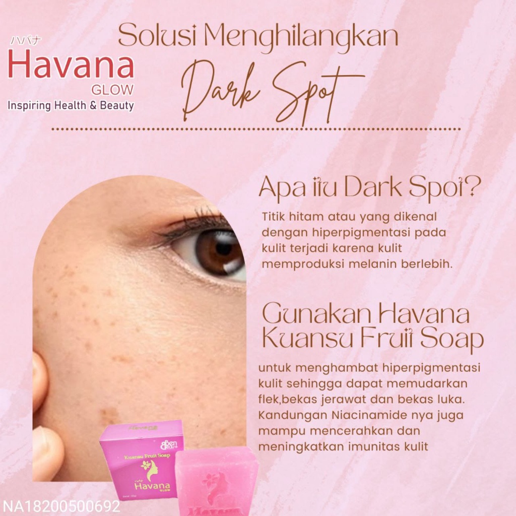 Sabun Whitening Pemutih Penghilang Jerawat Flek Noda Hitam Keriput  - Pencerah Pelembab  Kulit Wajah Muka Kolagen Niacinamide Buah Kuansu Havana Glow Kuansu Fruit Soap BPOM