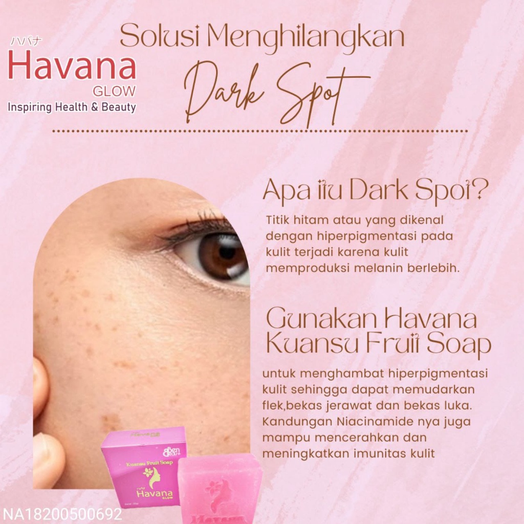 Sabun Whitening Pemutih Penghilang Jerawat Flek Noda Hitam Keriput  - Pencerah Pelembab  Kulit Wajah Muka Kolagen Niacinamide Buah Kuansu Havana Glow Kuansu Fruit Soap BPOM