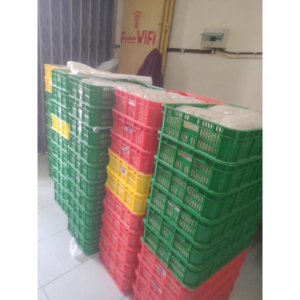 

mie basah partai besar