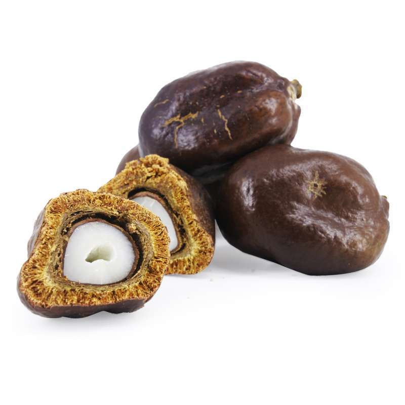 

Buah zuriat Asli Madinah 500 GRAM Doum Asli Madinah Termurah