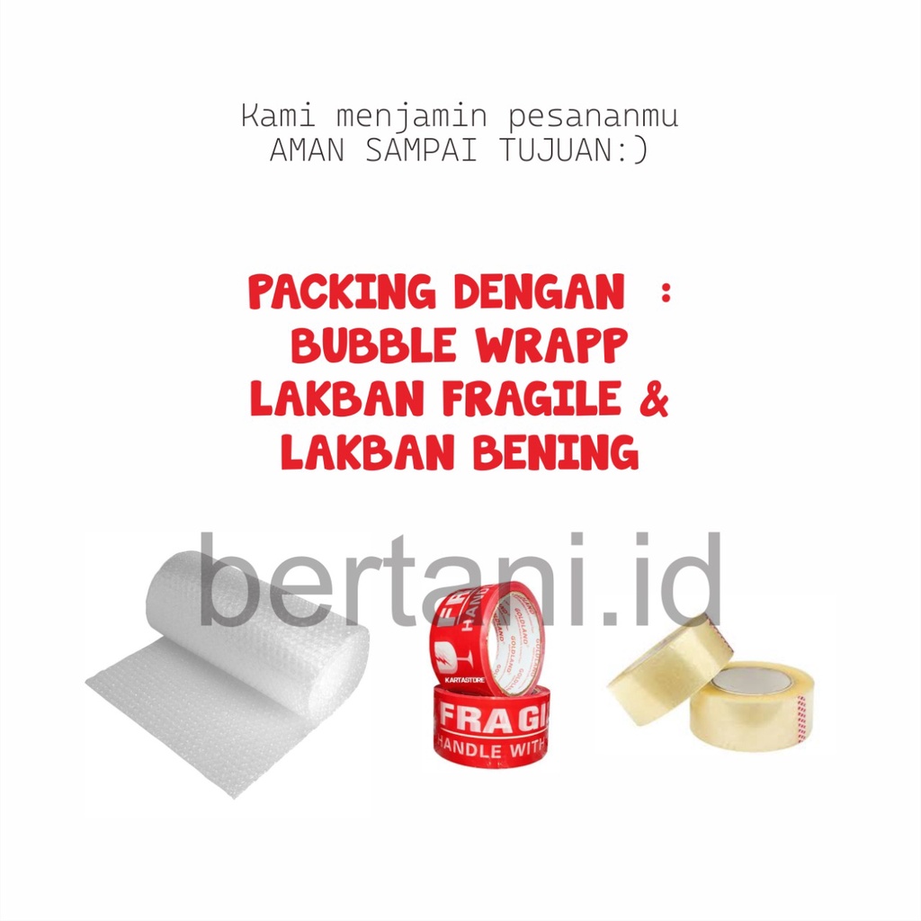 OBAT SEMUT SEMPROT untuk semut Tanaman / Merah / Regent / HItam SUPER AMPUH 100ml