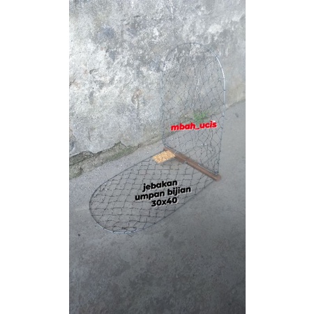 jebakan burung, sangkar jebak, jebakan umpan pakan, jebakan burung perkutut, jebakan perkutut, perku