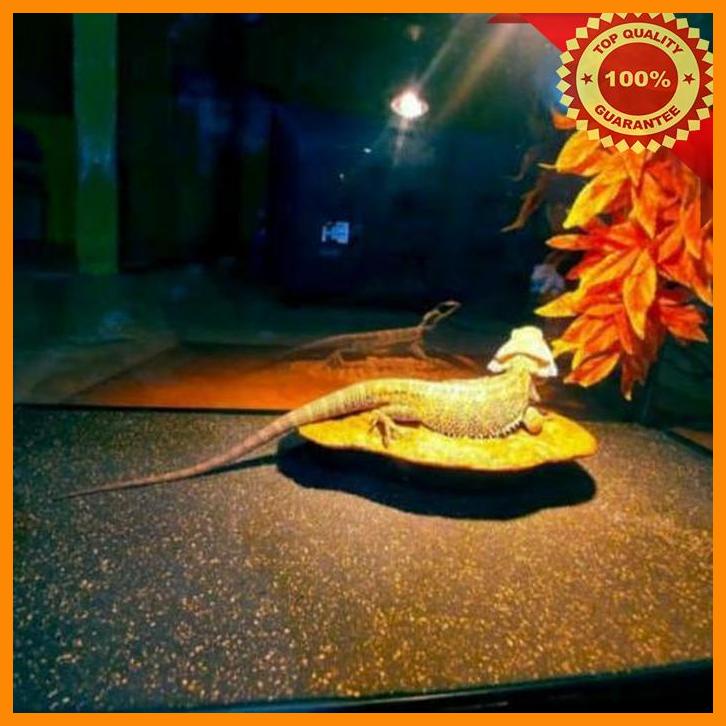

(MKD) Karpet model pasir / Sand mat 40cm x 60cm / Alas reptil sebaguna