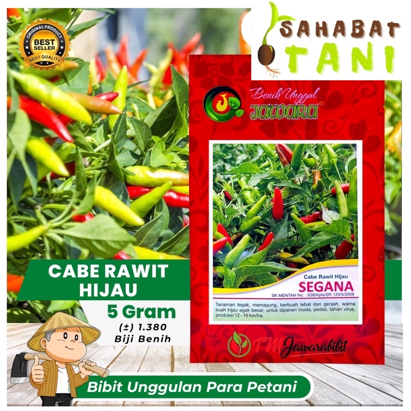 5 Gram Benih Cabe Rawit Hijau Segana Dari Jawara