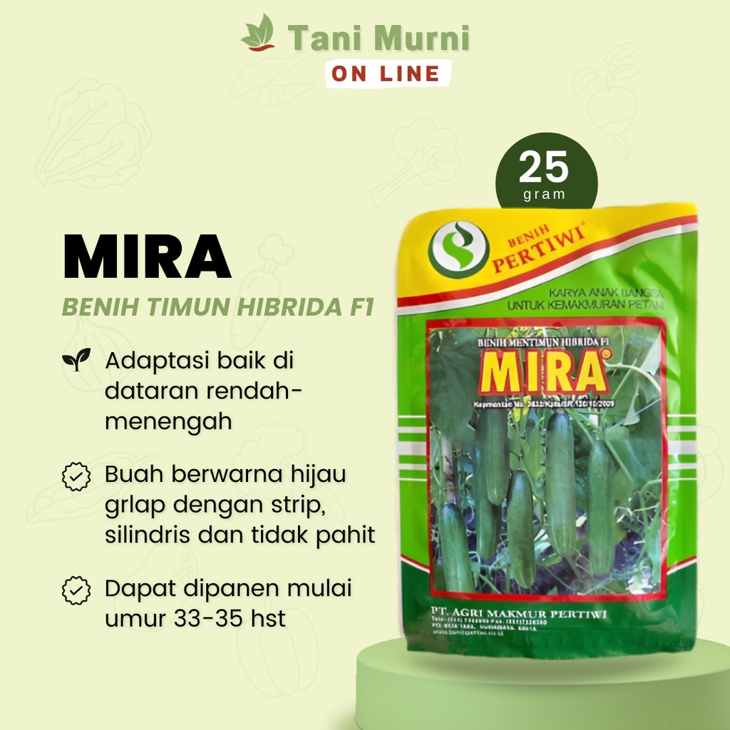 Bibit Timun MIRA Hibrida F1 Benih Timun 25gr