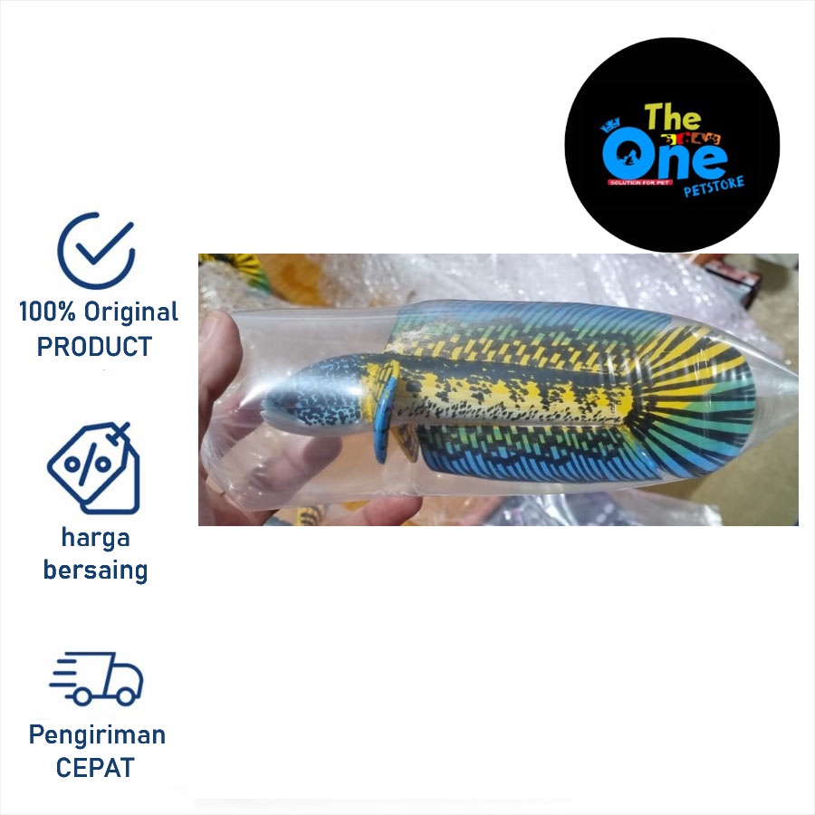 Mainan PATUNG CHANNA Latih Mental Auranti