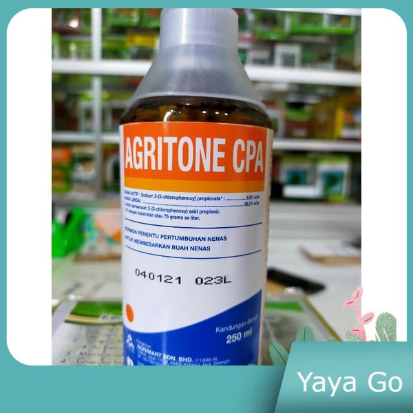 

Agritone CPA 250ml Hormon Pembesar Nanas Original Malaysia Agriton Dopping Buah Nanas ZPT Super Untuk Nanas