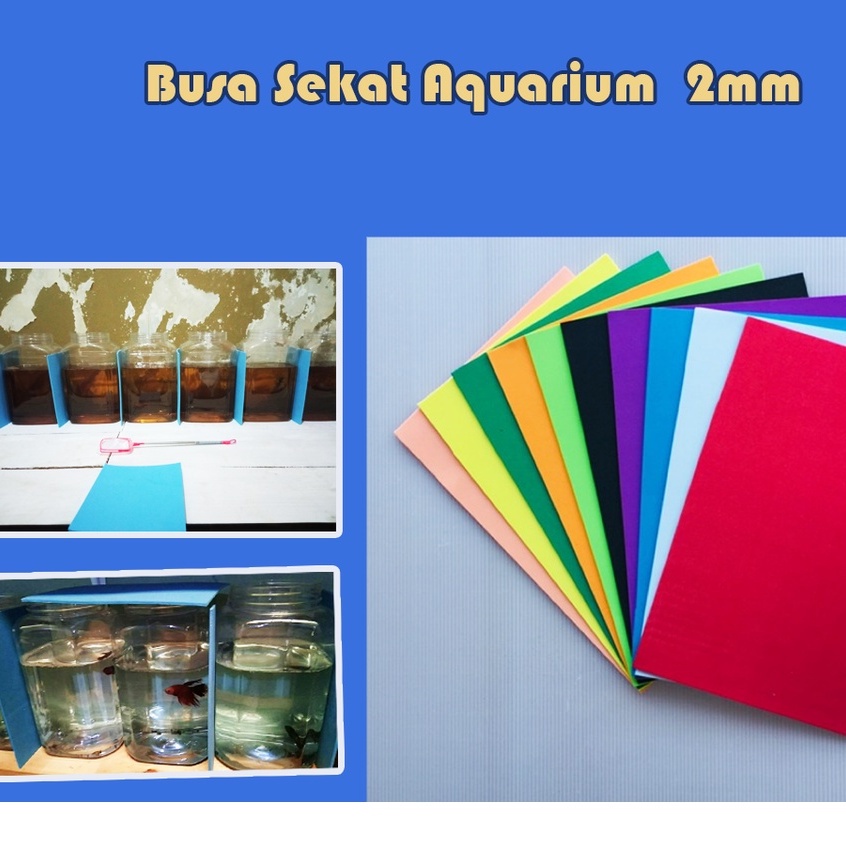 Sekat Aquarium Ikan Cupang Soliter Toples Varian Warna