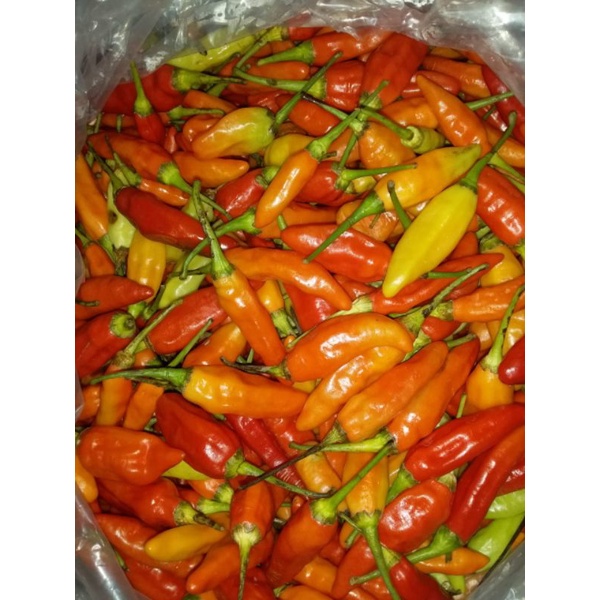 

Cabe Rawit Merah / Cabe Setan / Cabe Pedas 1/4kg