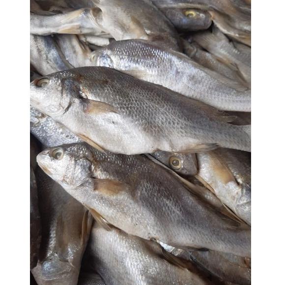 

M7A Ikan Asin Sileman 500 gr z9rlu
